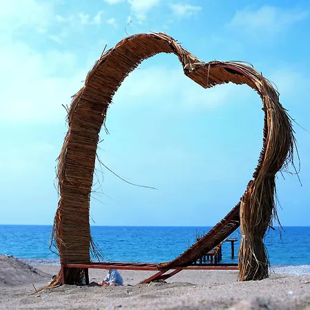 호텔 Club Aqua Plaza 알란야