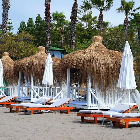 Club Aqua Plaza 호텔 알란야