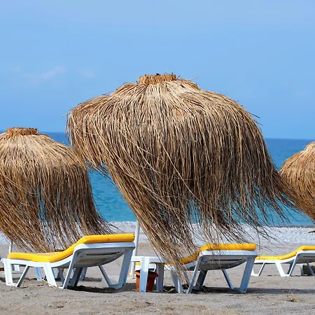 호텔 Club Aqua Plaza 알란야